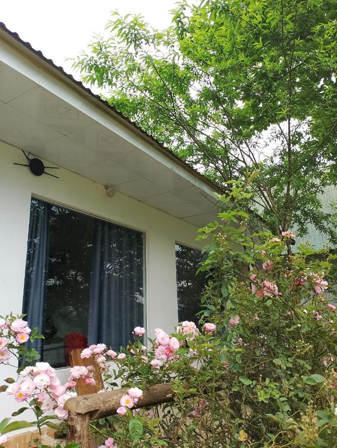 Tay Bac Sky Homestay Sapa Exteriör bild